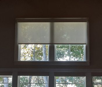 A window with a partially lowered translucent shade, showing trees and sunlight outside.